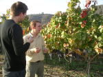 From Vine to Wine Tasting Course